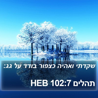 תהלים 102:7 HEB Bible Verse Image