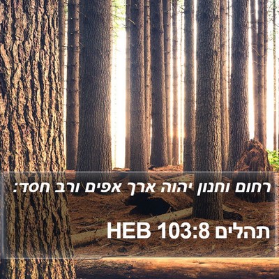 תהלים 103:8 HEB Bible Verse Image
