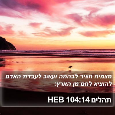 תהלים 104:14 HEB Bible Verse Image
