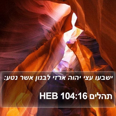 תהלים 104:16 HEB Bible Verse Image