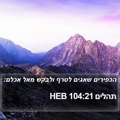 תהלים 104:21 HEB Bible Verse Image