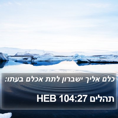 תהלים 104:27 HEB Bible Verse Image