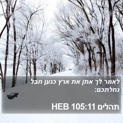 תהלים 105:11 HEB Bible Verse Image