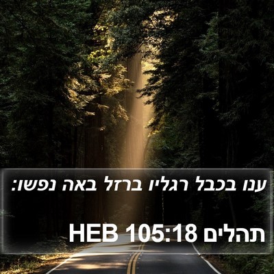 תהלים 105:18 HEB Bible Verse Image