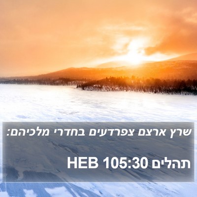 תהלים 105:30 HEB Bible Verse Image