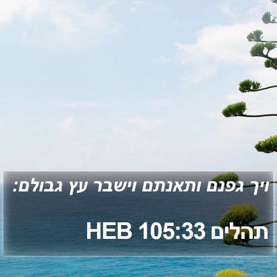 תהלים 105:33 HEB Bible Verse Image