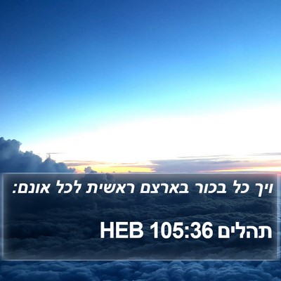 תהלים 105:36 HEB Bible Verse Image