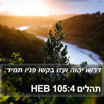תהלים 105:4 HEB Bible Verse Image