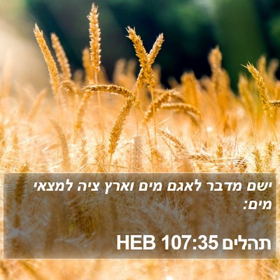 תהלים 107:35 HEB Bible Verse Image