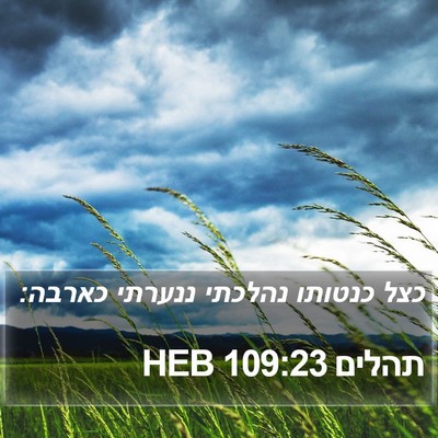 תהלים 109:23 HEB Bible Verse Image