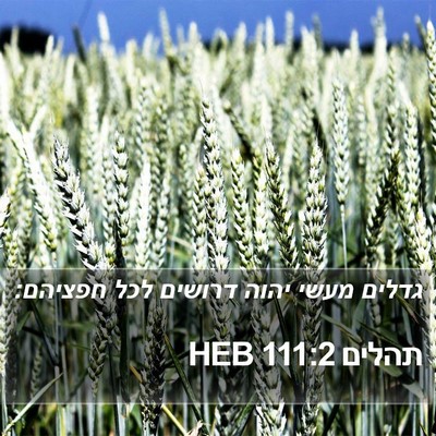 תהלים 111:2 HEB Bible Verse Image