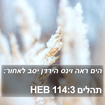 תהלים 114:3 HEB Bible Verse Image