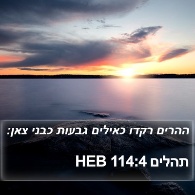 תהלים 114:4 HEB Bible Verse Image