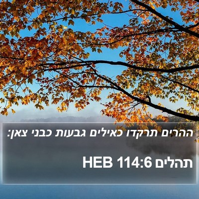 תהלים 114:6 HEB Bible Verse Image
