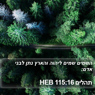 תהלים 115:16 HEB Bible Verse Image