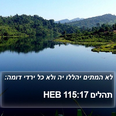 תהלים 115:17 HEB Bible Verse Image