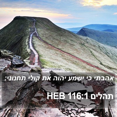 תהלים 116:1 HEB Bible Verse Image