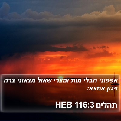 תהלים 116:3 HEB Bible Verse Image