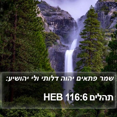 תהלים 116:6 HEB Bible Verse Image