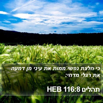 תהלים 116:8 HEB Bible Verse Image
