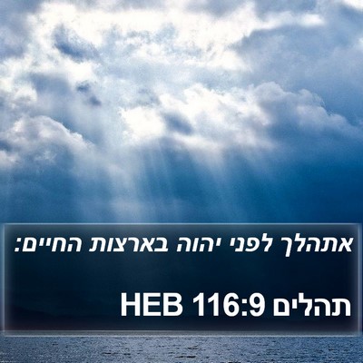 תהלים 116:9 HEB Bible Verse Image