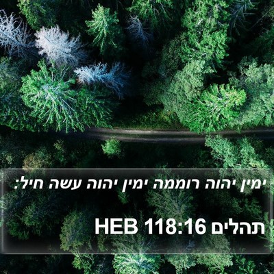 תהלים 118:16 HEB Bible Verse Image