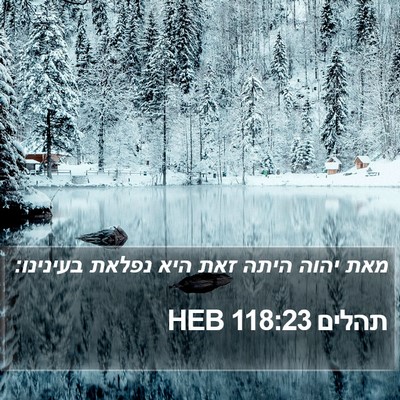 תהלים 118:23 HEB Bible Verse Image