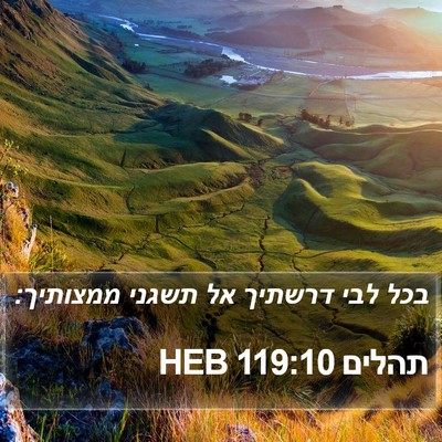תהלים 119:10 HEB Bible Verse Image
