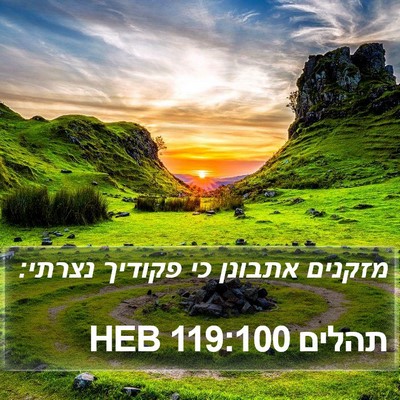 תהלים 119:100 HEB Bible Verse Image