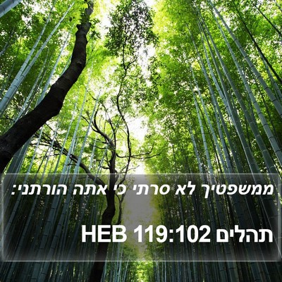 תהלים 119:102 HEB Bible Verse Image