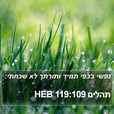 תהלים 119:109 HEB Bible Verse Image