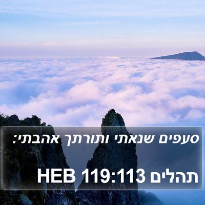תהלים 119:113 HEB Bible Verse Image