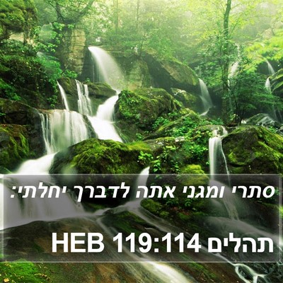 תהלים 119:114 HEB Bible Verse Image