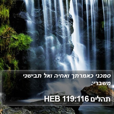 תהלים 119:116 HEB Bible Verse Image