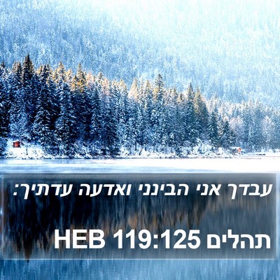 תהלים 119:125 HEB Bible Verse Image