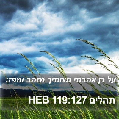 תהלים 119:127 HEB Bible Verse Image
