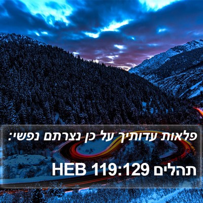 תהלים 119:129 HEB Bible Verse Image