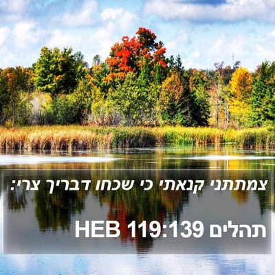 תהלים 119:139 HEB Bible Verse Image