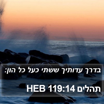 תהלים 119:14 HEB Bible Verse Image
