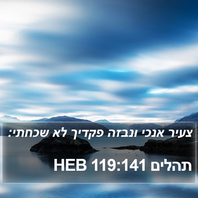 תהלים 119:141 HEB Bible Verse Image