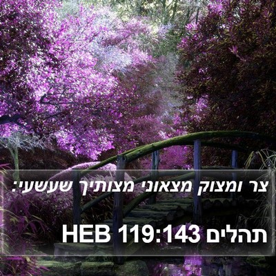 תהלים 119:143 HEB Bible Verse Image