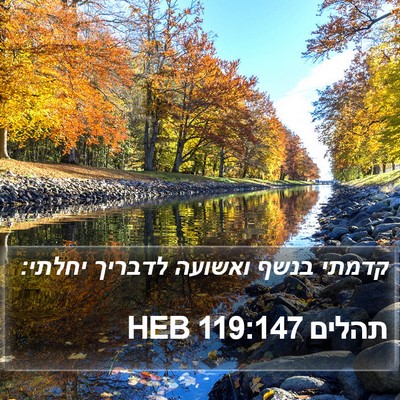 תהלים 119:147 HEB Bible Verse Image