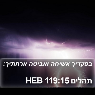 תהלים 119:15 HEB Bible Verse Image