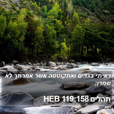 תהלים 119:158 HEB Bible Verse Image