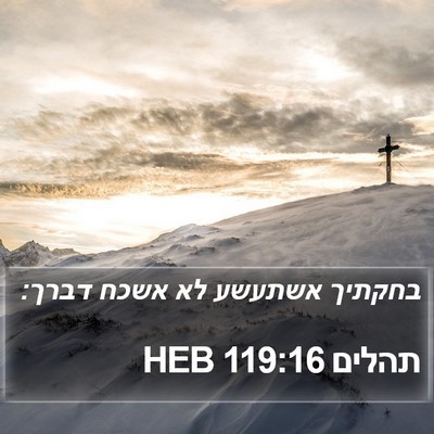 תהלים 119:16 HEB Bible Verse Image