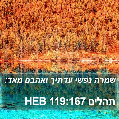 תהלים 119:167 HEB Bible Verse Image