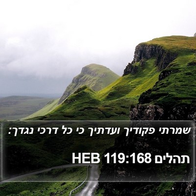 תהלים 119:168 HEB Bible Verse Image