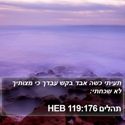 תהלים 119:176 HEB Bible Verse Image