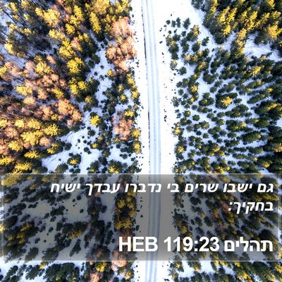תהלים 119:23 HEB Bible Verse Image