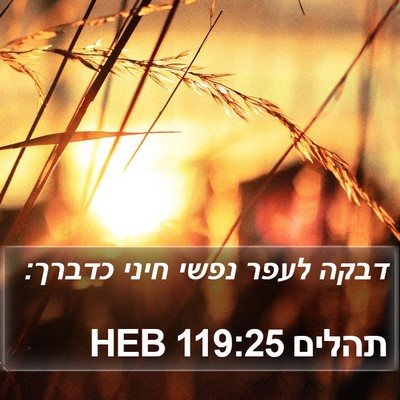 תהלים 119:25 HEB Bible Verse Image
